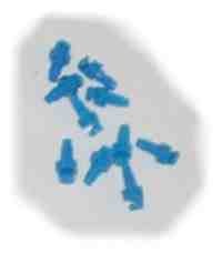 Blue Jet Spray Nozzle 180