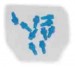 Blue Jet Spray Nozzle 90